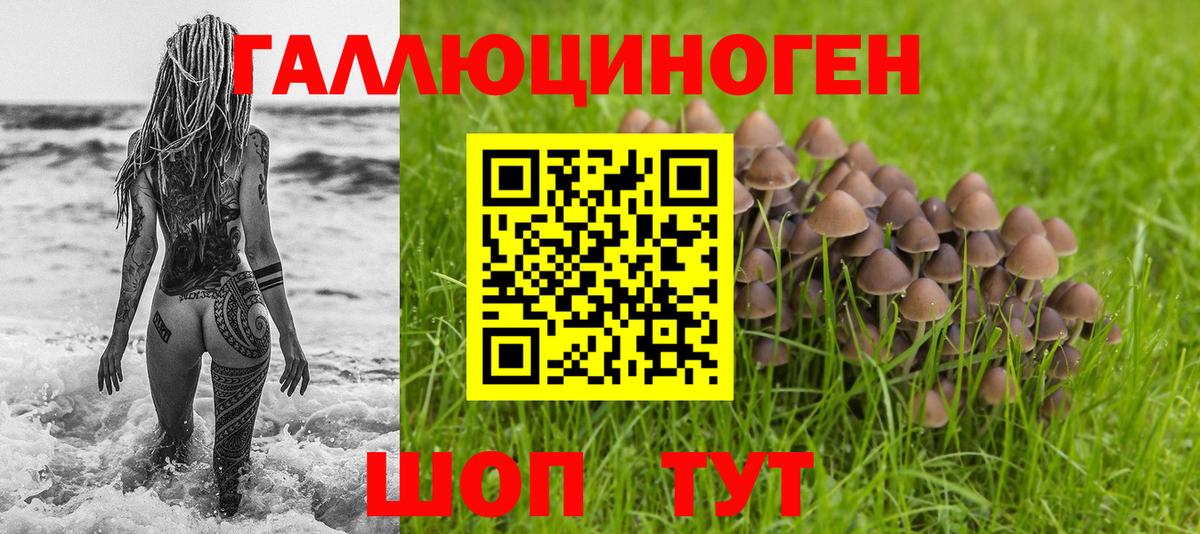 Десногорск  Галлюциногенные грибы Magic Shrooms  Вход с VPN 